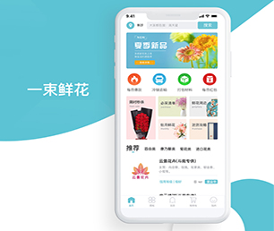 海北藏族自治州IOS APP开发基础电商系统高效、稳定、安全的软件解决方案【限时特价，带回家！】